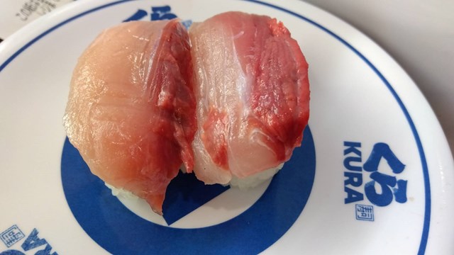 くら寿司のはまち
